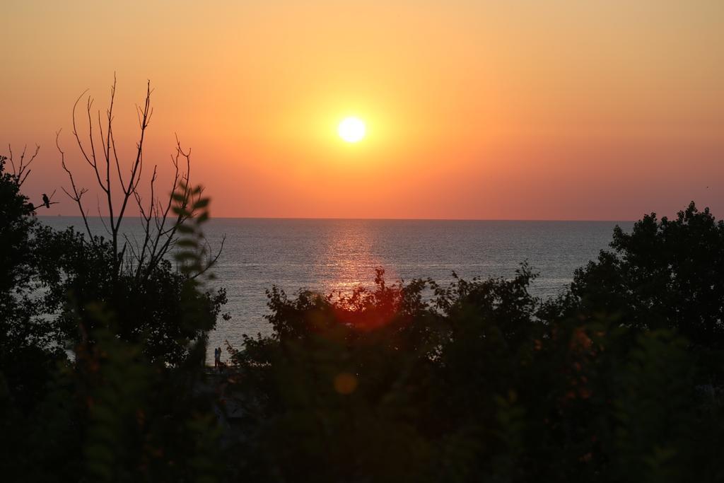 Evergreen Vlas Mamaia Sud מראה חיצוני תמונה